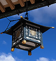 藍村ひらり先生